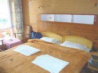 Hotel Sonamarg Glacier, Sonamarg 3